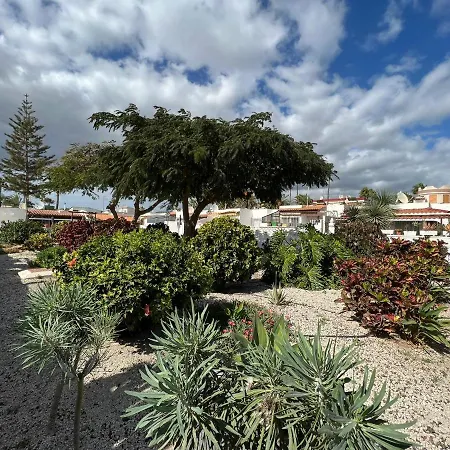 Διαμέρισμα Apartamento Con Piscina, Wifi, A 750 M De La Playa En Tenerife Sur Costa Del Silencio